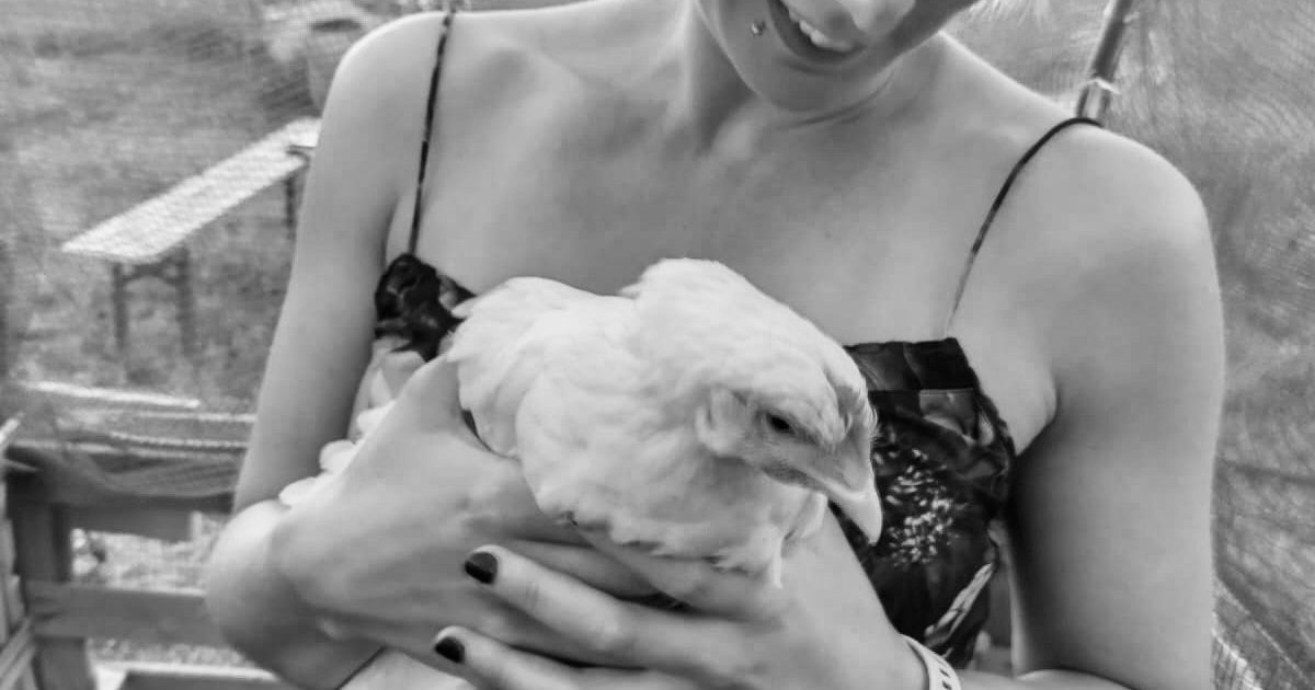 jane-robb-book-now-live-yoga-teachers